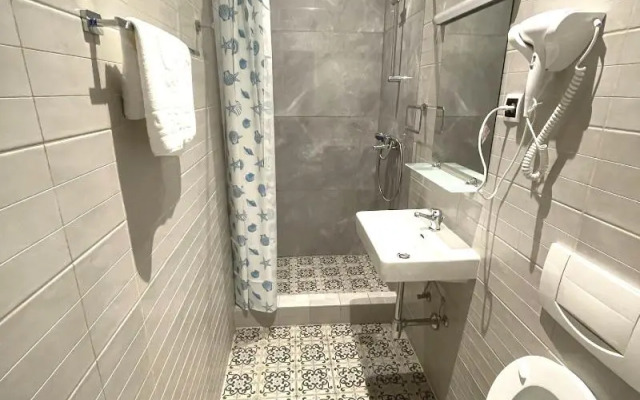 Hotel Viki
