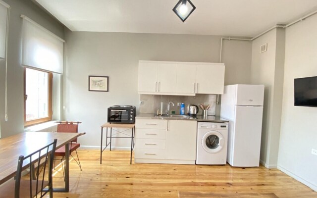 Central Flat With a Shared Terrace in Beyoglu