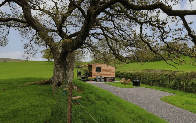 Wild Acre