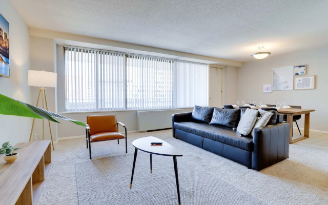 Beautiful & Spacious Apt in Crystal City