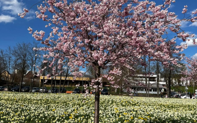 Salt Garden Apartments