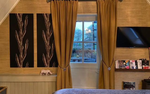 Agapanthus bed and breakfast