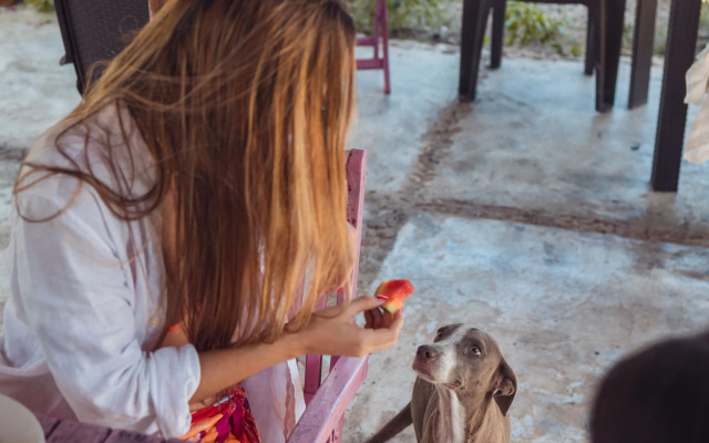 AMALIFE Beach Club & Hotel