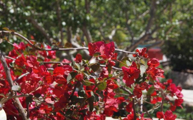 Les Jardins De Santa Giulia - Charmante chambre d'hôte 2