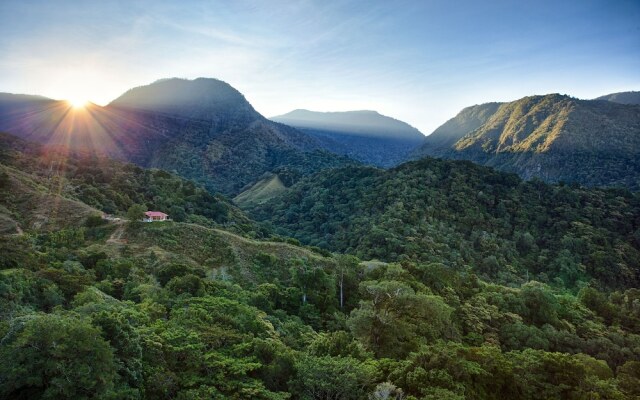 Mount Totumas Cloud Forest