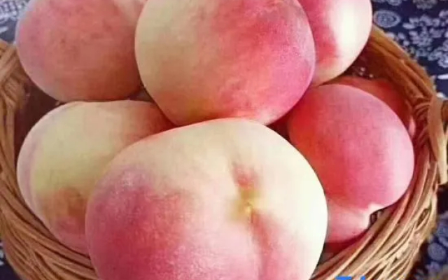 Homeinn Hotel (Mengyin Hubin Road Yipin)