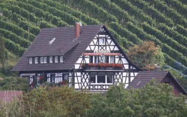 Pension am Weinberg Heidi Spinner