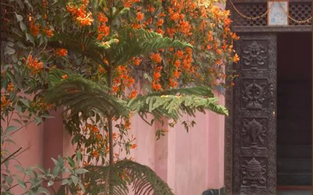 Shine Nepal Homestay