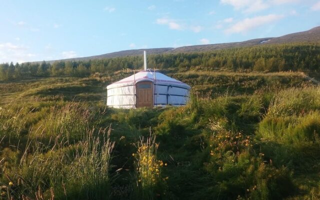 Iceland Yurt