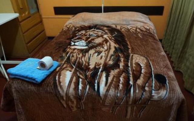 Tour Hostal Wanka