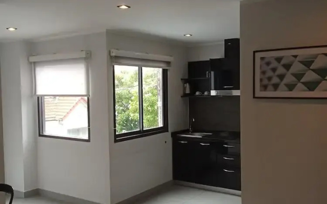 Large Corner Apt-1BR T1 207