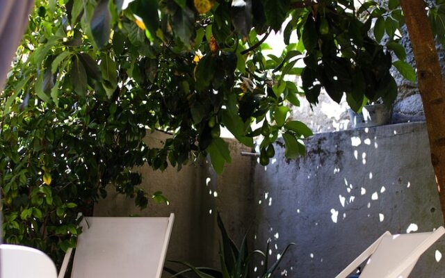 Casinhas no Carolina - Hostel