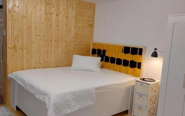 Studio 22