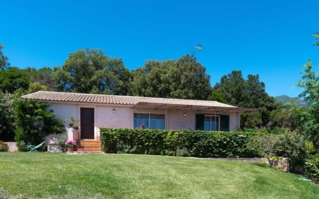 Christian II (CTN267)