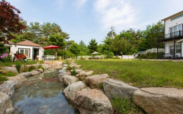 Pyeongchang Healing Hasigae Dog Pension