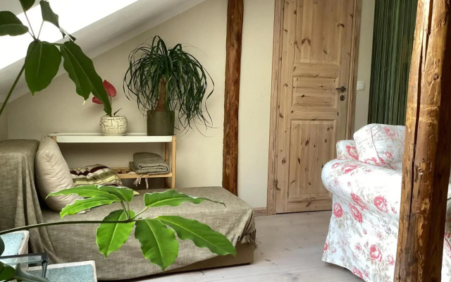 Katusekorter & Terrass