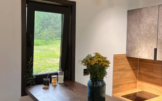 Tishina house (Тишина Хаус)