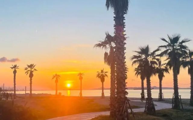 Venetico Il Gatto E La Volpe 2