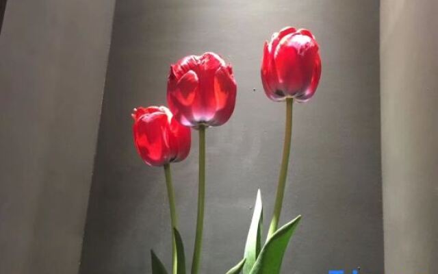 YeSuXiaoXing Youth Hostel