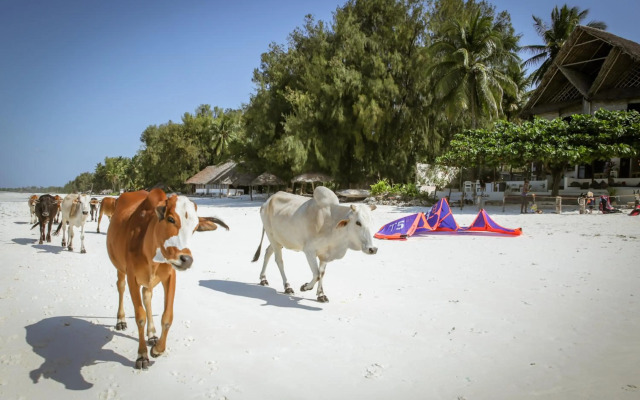 Mr Kahawa Waterfront Suites