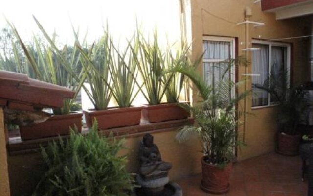 Westall Tours B&B