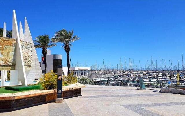 Solmar 33