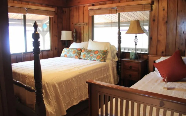 Rainforest Inn