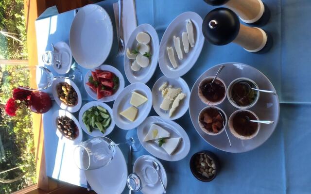 Sakin Vadi Winehouse