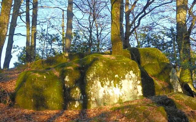 B&B Bouton D'Or La Bouriotte