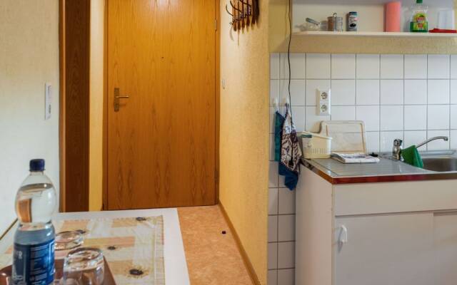 Scintillating Apartment in Wienrode near City Center