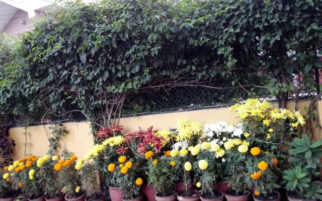 Sagarmatha Apartment Bed & Breakfast
