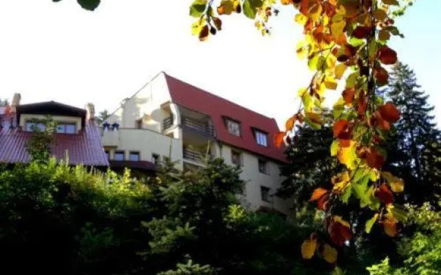 Hotel Carmen