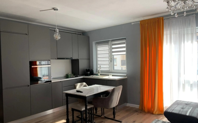 Tiberiu Ricci Apartament