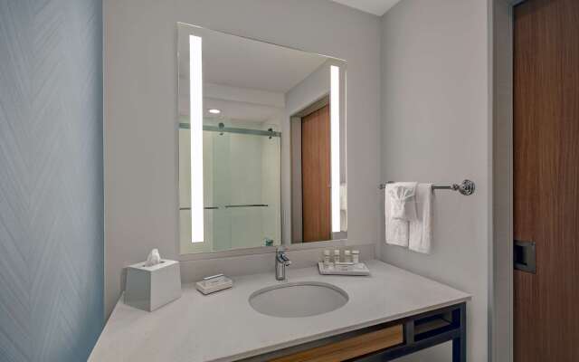 Hilton Garden Inn Houston Medical Center, TX