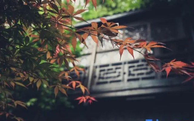 QingXi Zen Courtyard Retreat in Fenghuang