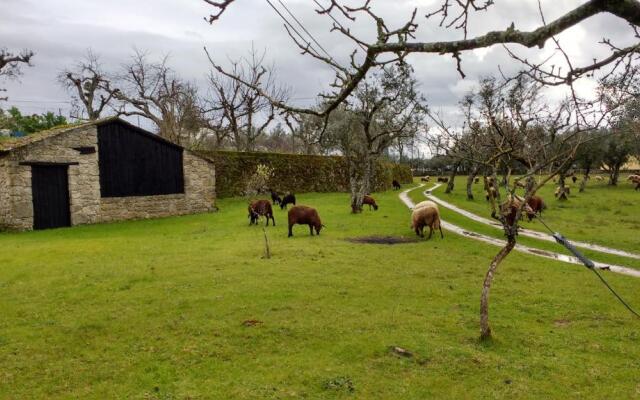 Casa Grande, Turismo de Habitação e Casas de Campo
