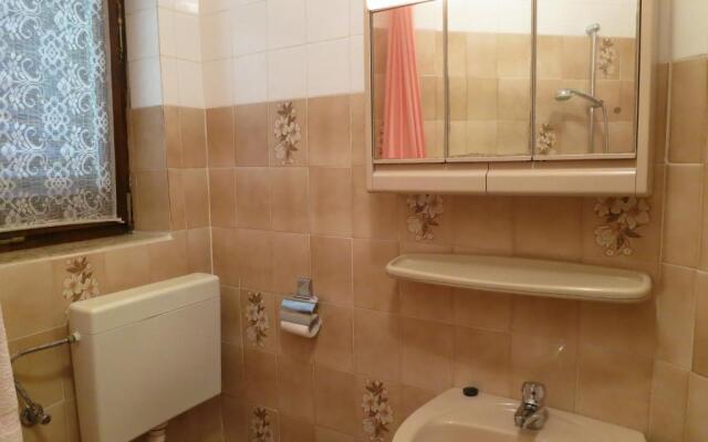 Apartment Branko