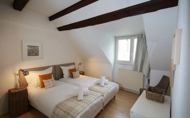 ColmarAppart BAUMGARTNER 117M