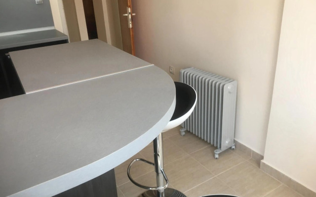 Stylish spacious flat