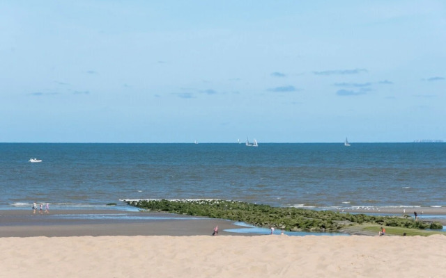 Ster Der Zee On Sea Shore