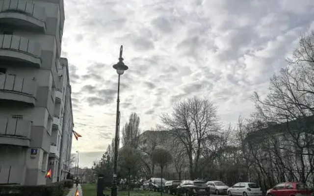 Velvet Lazienki Park
