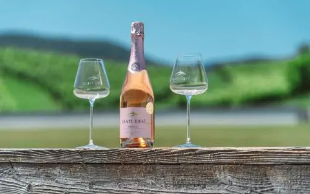 Wine Grower's Mansion Zlati Gric