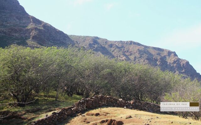 Farinha de Pau - Eco Rural Project