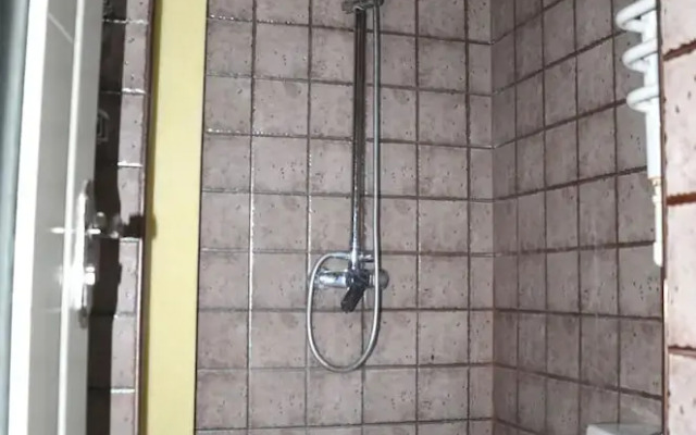 Lan Zhou Long Shang Purple Tulip