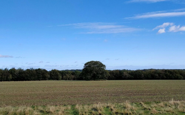The Chilterns Fox