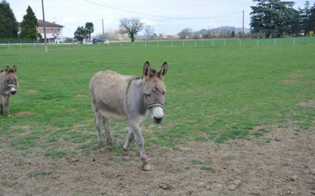 Gite du Pont du Bartac