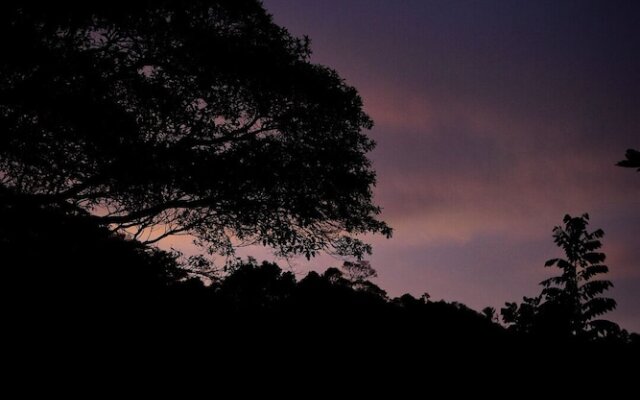 Ecohabs Bosques del Tayrona