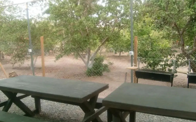 Entre Mangos y Guayabas