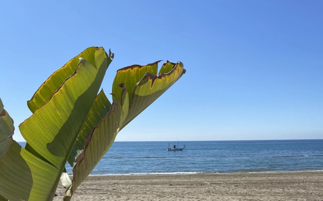 Jardines Las Golondrinas Elviria