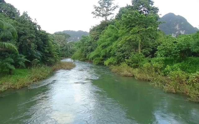 Tree Top River Huts
